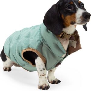 New Reddy quilted puffer dog jacket XS